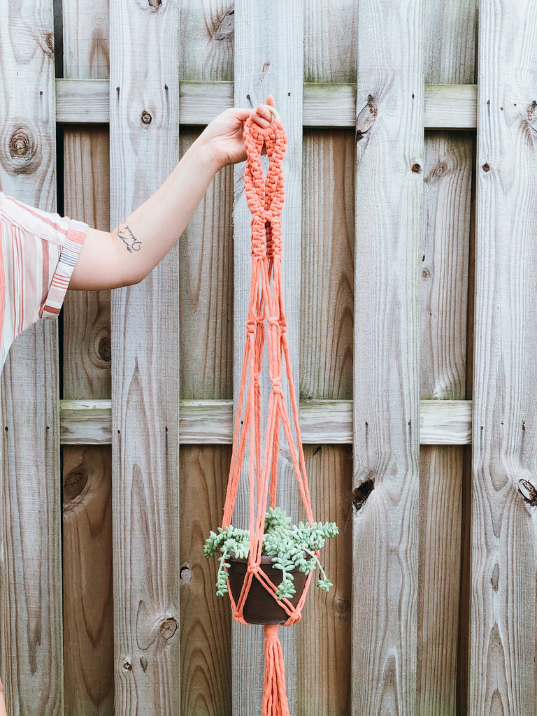 Plant Hangers